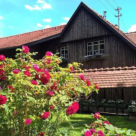 Albler-Nest Auf Hofgut Kuche Apartment Burladingen Екстериор снимка
