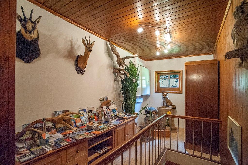 Albler-Nest Auf Hofgut Kuche Apartment Burladingen Екстериор снимка